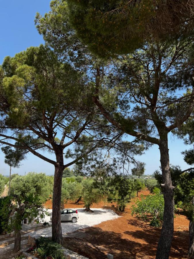 Apartamento Masseria Concorrano Castellana Grotte Exterior foto